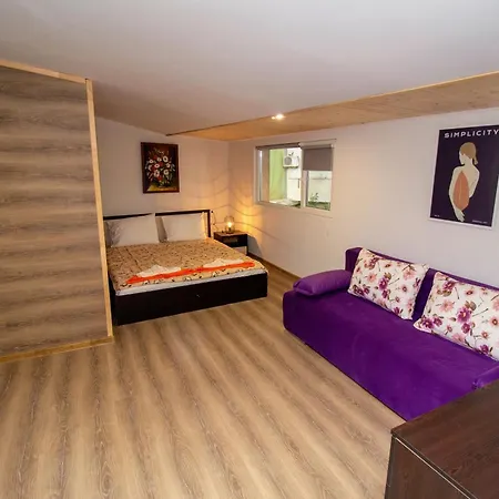 Swan7 * Plovdiv